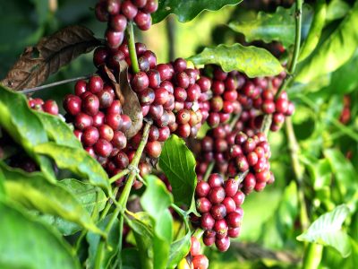 Glimpses-from-past-events_3_april19