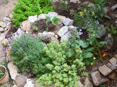 Permaculture,Element:,Herb,Spiral